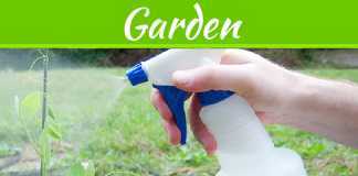 7 All Natural Methods To Control Pests In Your Garden