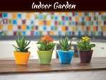 Creative Ways to Decorate Your Garden with Potted Plants Creative Ways To Decorate Your Garden With Potted Plants