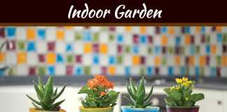 Creative Ways to Decorate Your Garden with Potted Plants Creative Ways To Decorate Your Garden With Potted Plants