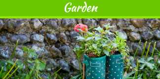 Make Over Your Backyard This Summer With These DIY Ideas Make Over Your Backyard This Summer with These DIY Ideas