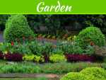 5 Ways To Update The Garden In A New Home 5 Ways To Update The Garden In A New Home