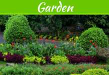 5 Ways To Update The Garden In A New Home 5 Ways To Update The Garden In A New Home