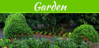 5 Ways To Update The Garden In A New Home 5 Ways To Update The Garden In A New Home