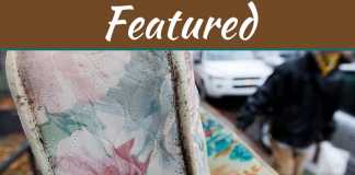 Bed Bugs Don’t Hibernate – Neither Do Exterminators In Toronto Bed Bugs Don't Hibernate - Neither Do Exterminators In Toronto