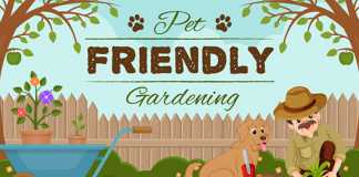 Pet Friendly Gardening – Infographic Pet Friendly Gardening