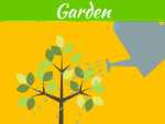 How To Plant Trees Without Harming Your Sewer Line
