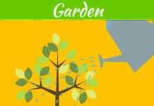 How To Plant Trees Without Harming Your Sewer Line