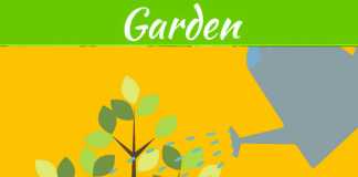 How To Plant Trees Without Harming Your Sewer Line