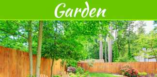 Tips For The Best Maintenance Of Timber Fencing For Years Tips For The Best Maintenance Of Timber Fencing For Years