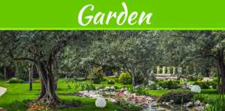 Rock Landscaping Ideas To Elevate Your Garden’s Beauty And Functionality Give A Practical And Aesthetic Value Through Rock Landscaping