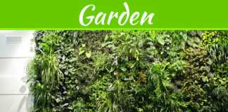 Benefits Of Having A Wall Garden