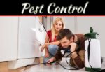 Know The Signs Of Termite Damage In Your Home Know The Signs Of Termite Damage In Your Home