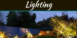 Top 5 LED Lighting Tips For Outdoor Decorating