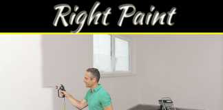 Select The Right Paint For Your Home Select The Right Paint For Your Home