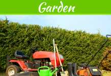 7 Tips To Ensure Growth In Your Garden Supplies Industry 7 Tips To Ensure Growth In Your Garden Supplies Industry