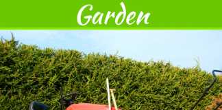 7 Tips To Ensure Growth In Your Garden Supplies Industry 7 Tips To Ensure Growth In Your Garden Supplies Industry