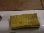 Gross old sponges