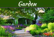 How To Create An Amazing Garden That’s Full Of Colour How To Create An Amazing Garden That's Full Of Colour
