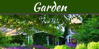 How To Create An Amazing Garden That’s Full Of Colour How To Create An Amazing Garden That's Full Of Colour