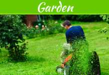 Save Time By Picking The Best Lawn Tractor For Your Garden Save Time By Picking The Best Lawn Tractor For Your Garden