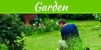 Save Time By Picking The Best Lawn Tractor For Your Garden Save Time By Picking The Best Lawn Tractor For Your Garden