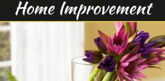 5 Decor Features That Improve Your Air Quality 5 Decor Features That Improve Your Air Quality