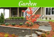 What Are Hardscaping And Softscaping When It Comes To Landscape Designing?