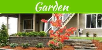 5 Top-Notch Landscape Designs For Your Home This Fall