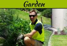 Professional Gardening Services – Keeping The Garden Well Arranged Professional Gardening Services – Keeping The Garden Well Arranged
