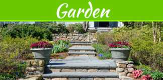 Everything You Need To Know About Sandstone Rock