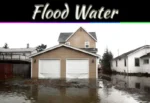 Flood Water Dangers: Health Risks And Safety Tips You Should Know Flood Water Dangers: Health Risks And Safety Tips You Should Know