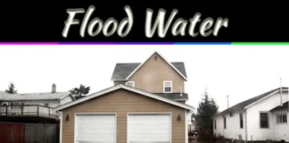 Flood Water Dangers: Health Risks And Safety Tips You Should Know Flood Water Dangers: Health Risks And Safety Tips You Should Know