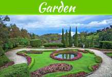 Hiring Services Of Professional Landscaping Contractors