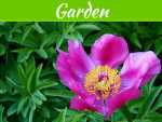 How To Transition Your Yard From Summer To Winter How To Transition Your Yard From Summer To Winter