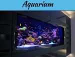 3 Tips To Caring For Your Fish Tank 3 Tips To Caring For Your Fish Tank