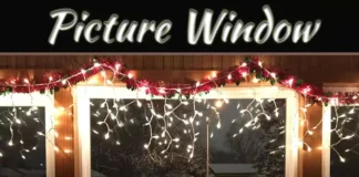 Picture Window: What It Is & Stylish Decorating Ideas What Is A Picture Window And How Do You Decorate It?