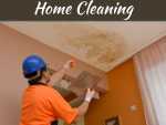 3 Reasons That It Is Important To Invest In Water Damage Restoration When You Live In A Desert 3 Reasons That It Is Important To Invest In Water Damage Restoration When You Live In A Desert