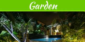 Enhance Your Gardens With The Fabulous Outdoor LED Lighting Enhance Your Gardens With The Fabulous Outdoor LED Lighting
