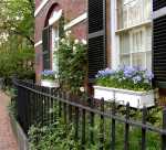 flower-window-boxes-5