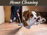 How To Take Care Of Your Hardwood Floors How To Take Care Of Your Hardwood Floors
