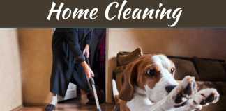 How To Take Care Of Your Hardwood Floors How To Take Care Of Your Hardwood Floors