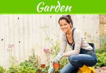 The Suburban Farmer – 3 Weather-Wise Ways To Keep Your Garden Flourishing Through Summer The Suburban Farmer – 3 Weather-Wise Ways To Keep Your Garden Flourishing Through Summer