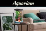 Tropical Fish For Aquariums: 5 Stunning Species To Brighten Your Tank Tropical Fish For Aquariums: 5 Stunning Species To Brighten Your Tank