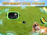 How To Choose The Perfect Wireless Dog Fence How To Choose The Perfect Wireless Dog Fence