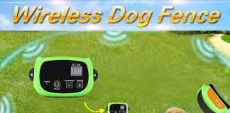 How To Choose The Perfect Wireless Dog Fence How To Choose The Perfect Wireless Dog Fence