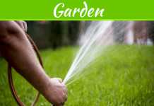 How To Keep Your Lawn Looking Great All Year How To Keep Your Lawn Looking Great All Year