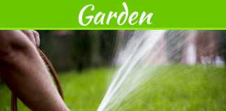 How To Keep Your Lawn Looking Great All Year How To Keep Your Lawn Looking Great All Year