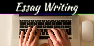 The Golden Rules Of Persuasive Essay Writing The Golden Rules Of Persuasive Essay Writing
