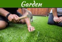 3 Ways That Artificial Grass Can Work Well For You And Your Family 3 Ways That Artificial Grass Can Work Well For You And Your Family