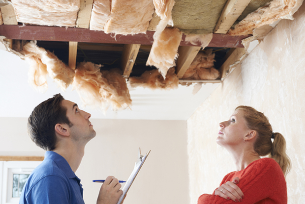 Replace A Rotting Roof